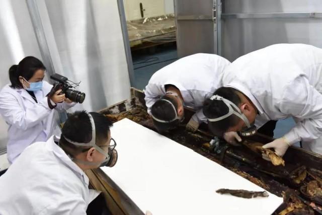 甘肅文物事業(yè)高質(zhì)量發(fā)展邁出堅實步伐《四》(圖2) 2.jpeg